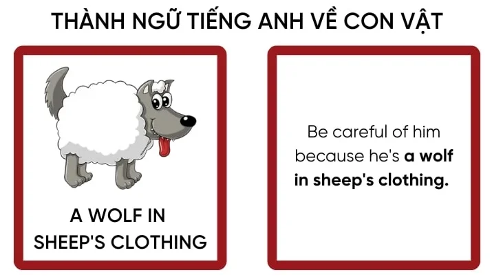 TRUNG TÂM ANH NGỮ ĐẠI Á