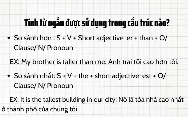 T&iacute;nh từ ngắn được sử dụng trong cấu tr&uacute;c n&agrave;o?