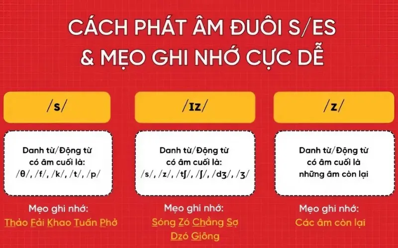 C&aacute;ch ph&aacute;t &acirc;m đu&ocirc;i s/es ch&iacute;nh x&aacute;c